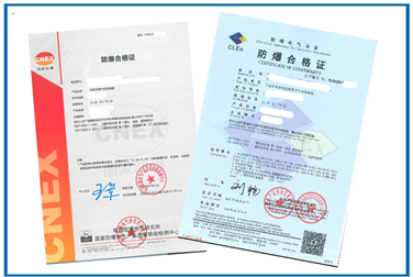 Case of Ex Certification for Portable Gas Detectors