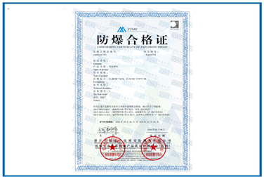 Case of Ex Certification for conductive slip rings