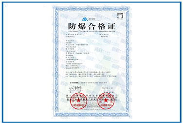 Case of Ex Certificate for High-Speed Permanent Magnet Synchronous Motors